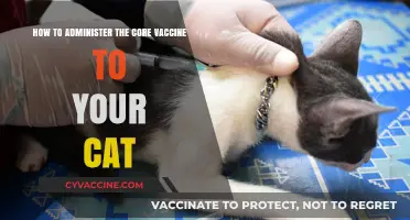 Essential Guide: Administering Core Vaccines to Your Cat Safely
