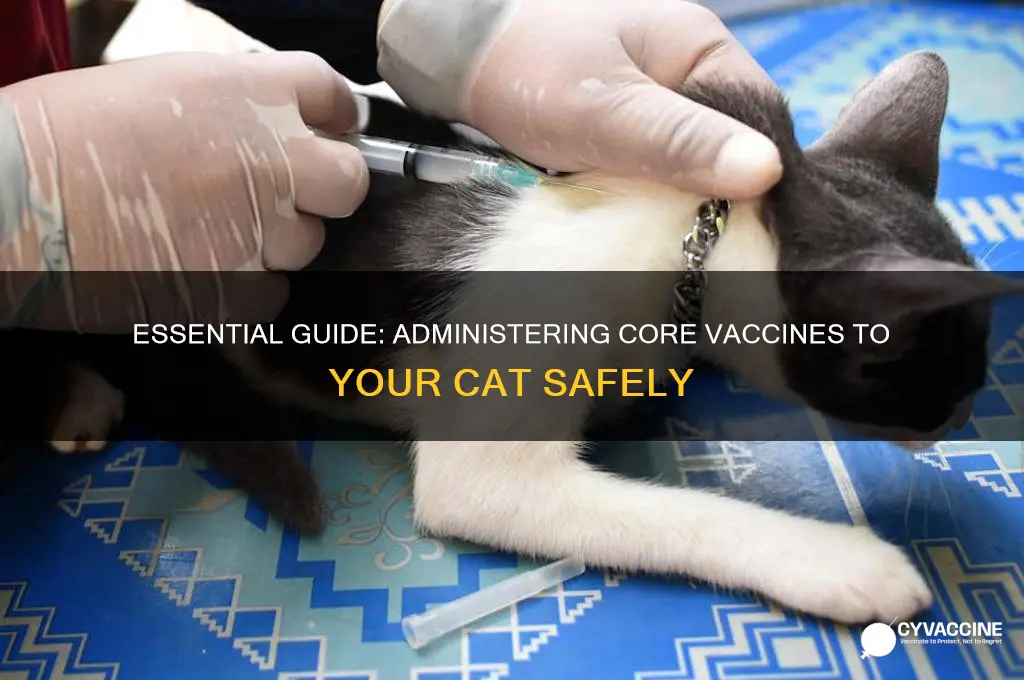 how to administer the core vaccine to your cat