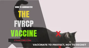 Administering the FVRCP Vaccine: A Step-by-Step Guide for Cat Owners