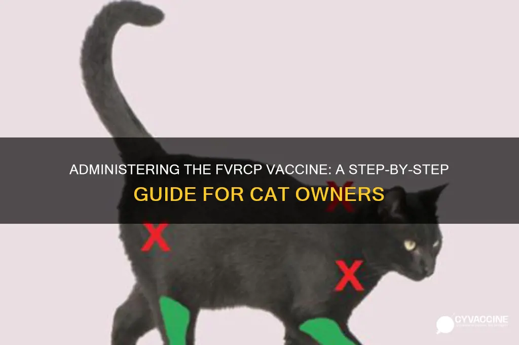 how to administer the fvrcp vaccine