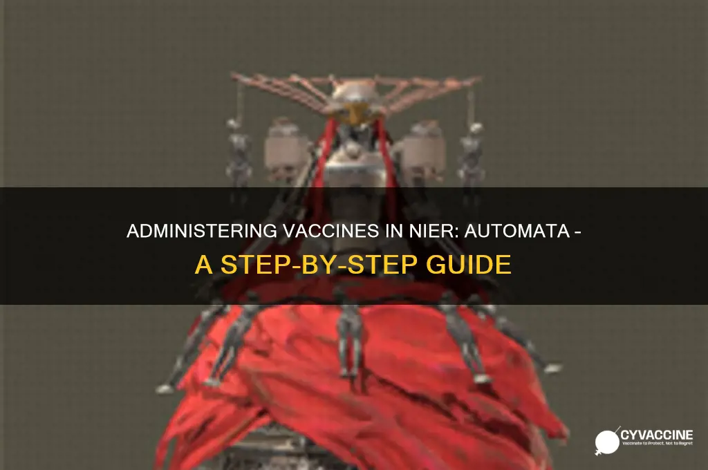 how to administer vaccine nier automata