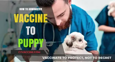 Essential Puppy Vaccination Guide: Administering Shots Safely at Home