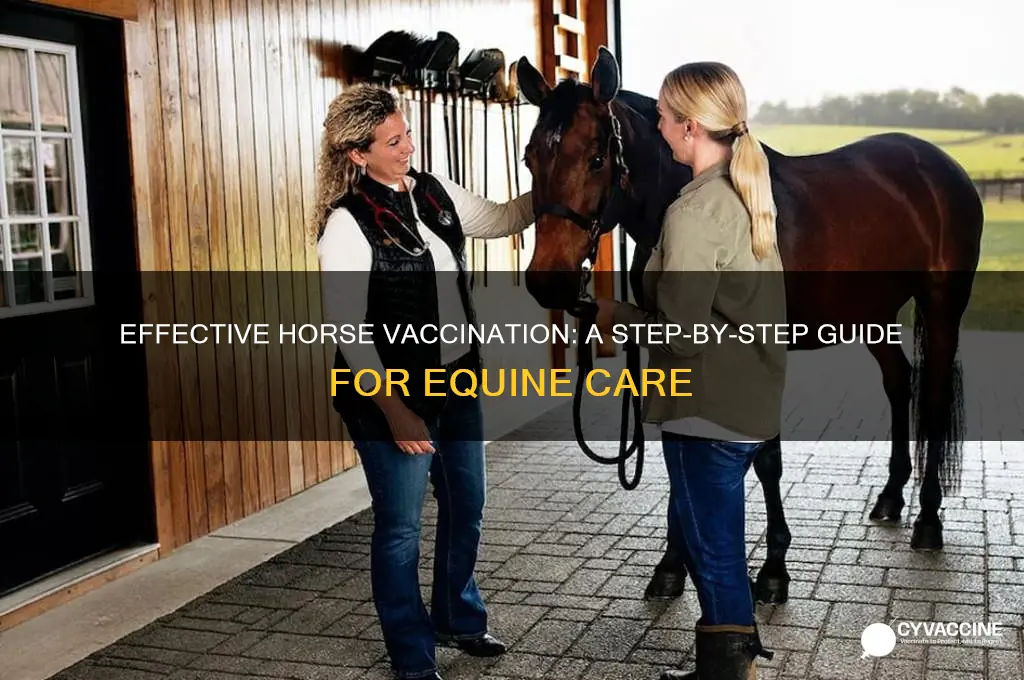 how to administer vaccines to horses