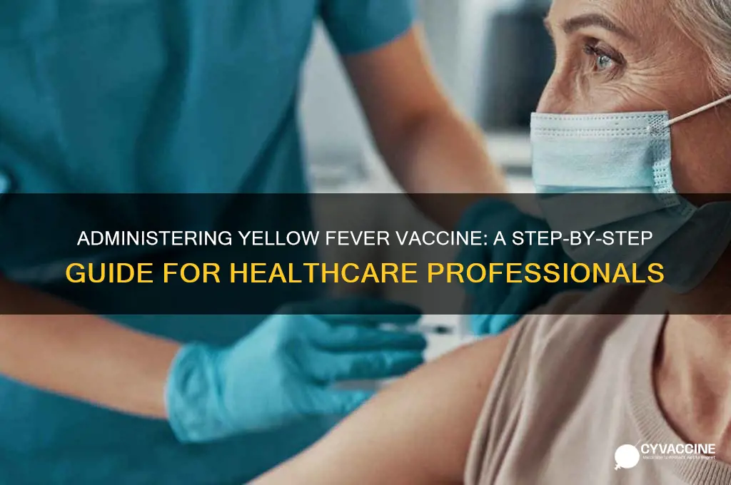 how to administer yellow fever vaccine