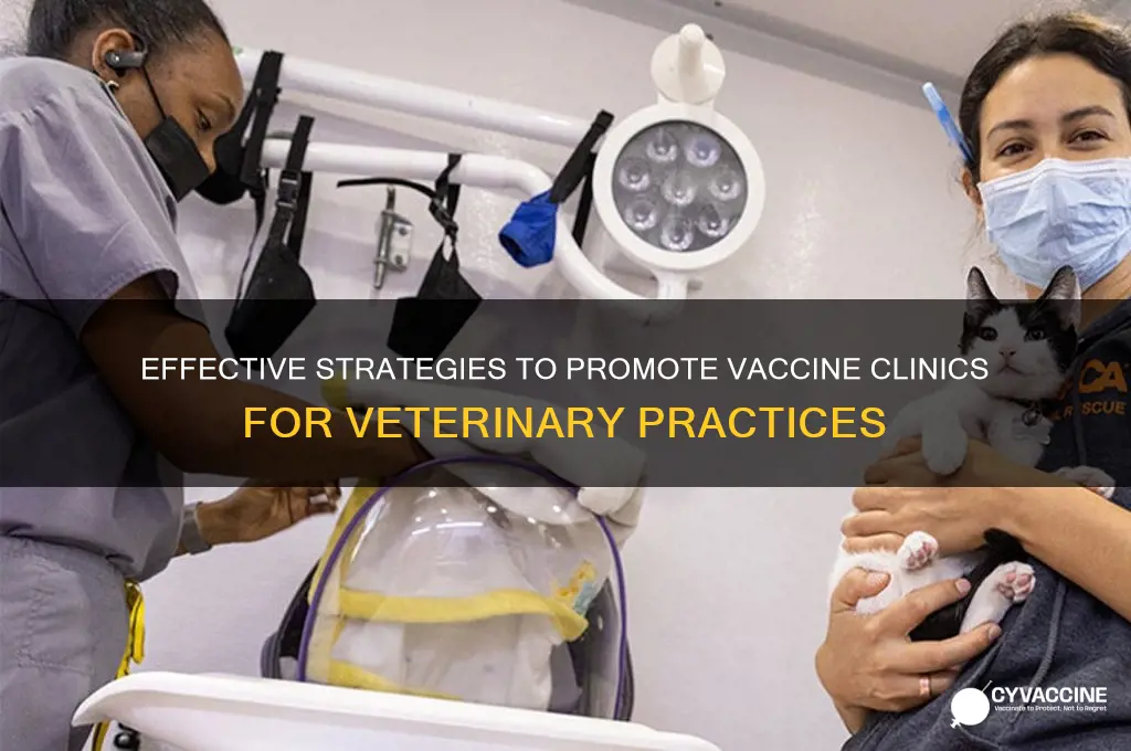 how to advertise vaccine clinics for veterinary clinics