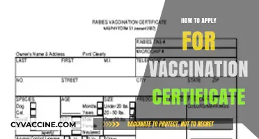 Easy Steps to Obtain Your Vaccination Certificate Online