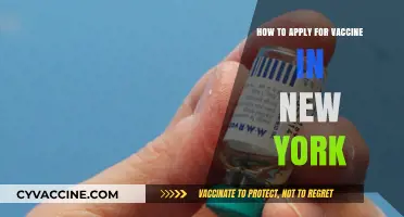 Your Guide to Applying for a Vaccine in New York