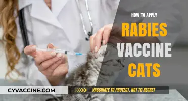 Essential Steps for Safely Administering Rabies Vaccines to Cats