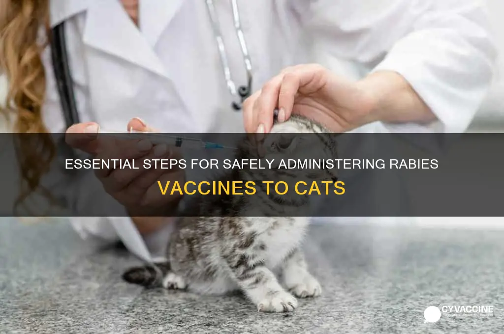 how to apply rabies vaccine cats