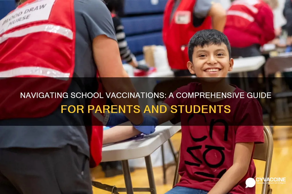 how to approach vaccines in school