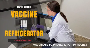Efficient Vaccine Storage: Tips for Organizing Your Refrigerator Safely