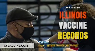 Accessing Your Illinois Vaccine Records: A Simple Step-by-Step Guide