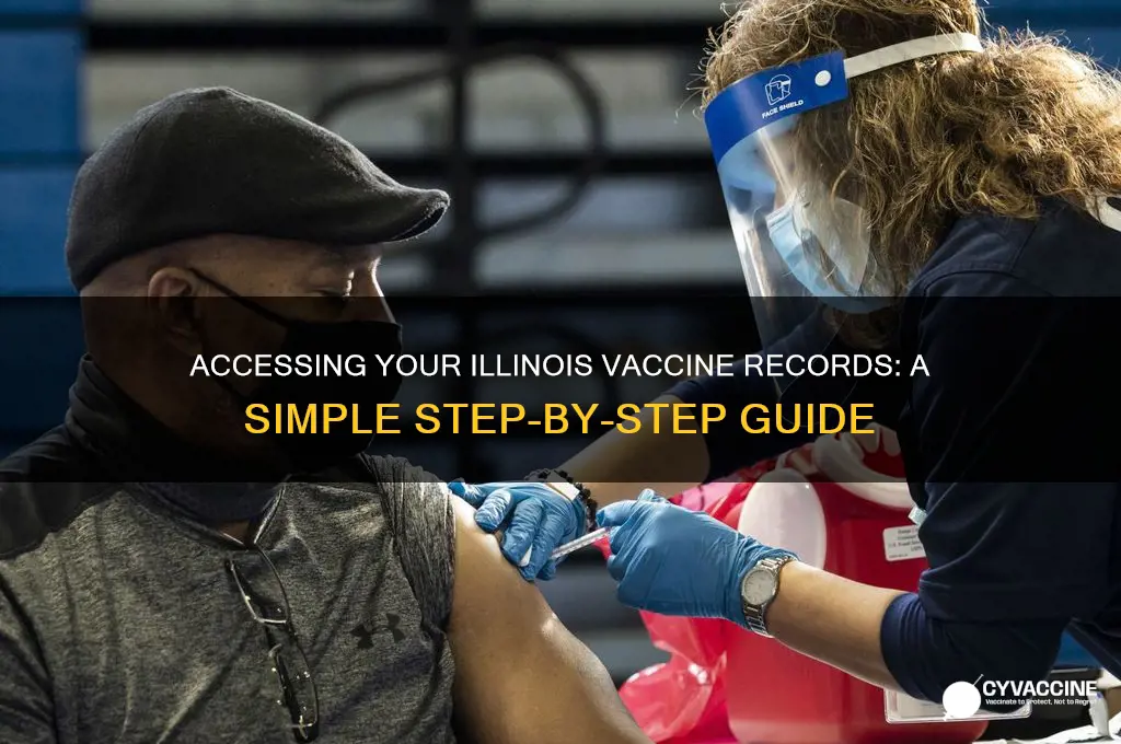 how to attain illinois vaccine records