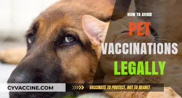 Legal Alternatives to Pet Vaccinations: Safeguarding Your Pet’s Health Naturally