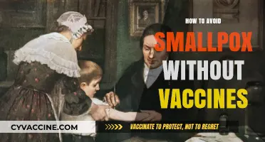 Preventing Smallpox Naturally: Effective Strategies Without Vaccination