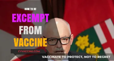 Navigating Vaccine Exemptions: Legal, Medical, and Personal Considerations Explained