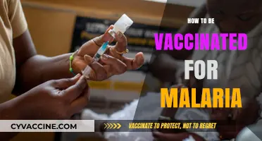Protect Yourself: Essential Steps for Malaria Vaccination and Prevention