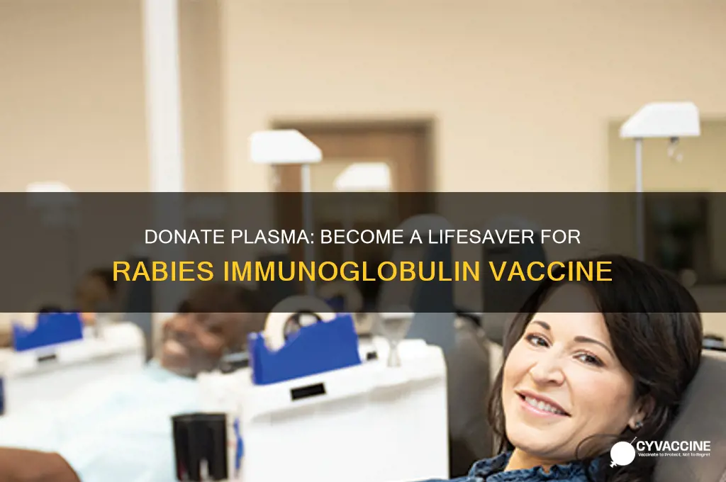how to become a donor for immunglobin rabies vaccine