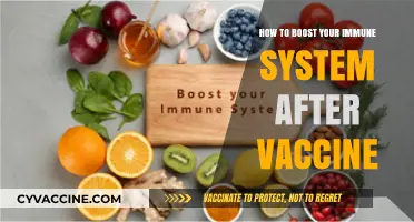 Strengthen Your Immunity Post-Vaccination: Essential Tips for Optimal Health