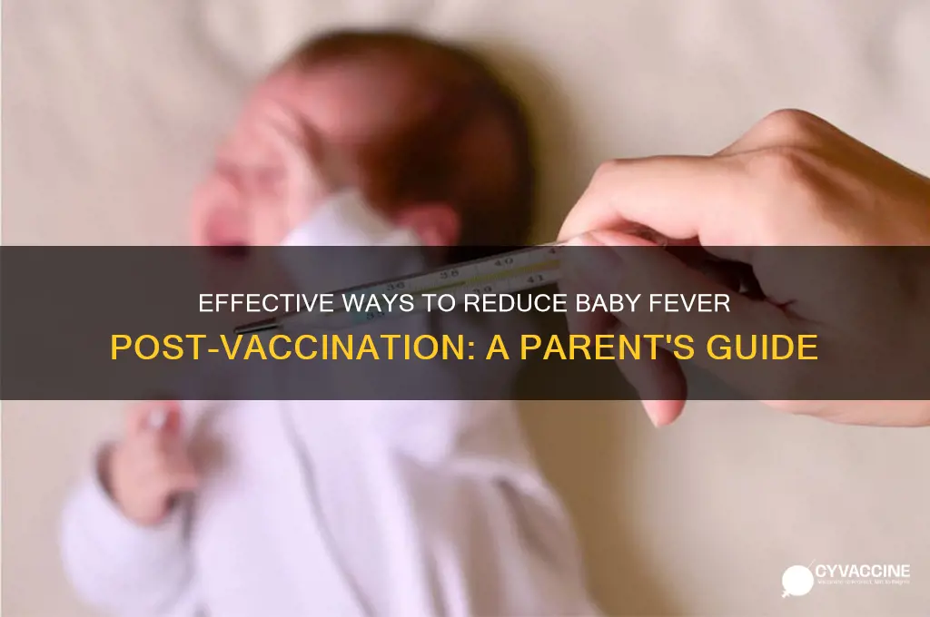 how to bring down baby fever after vaccination