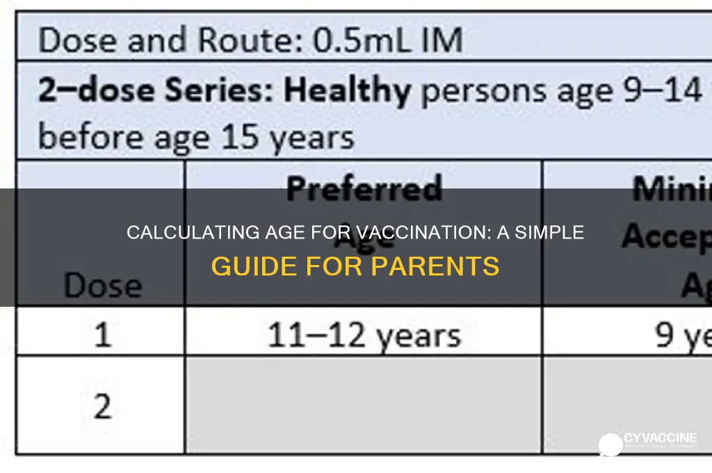 how to calculate age for vaccine