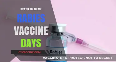 Calculating Rabies Vaccine Days: A Step-by-Step Guide for Pet Owners
