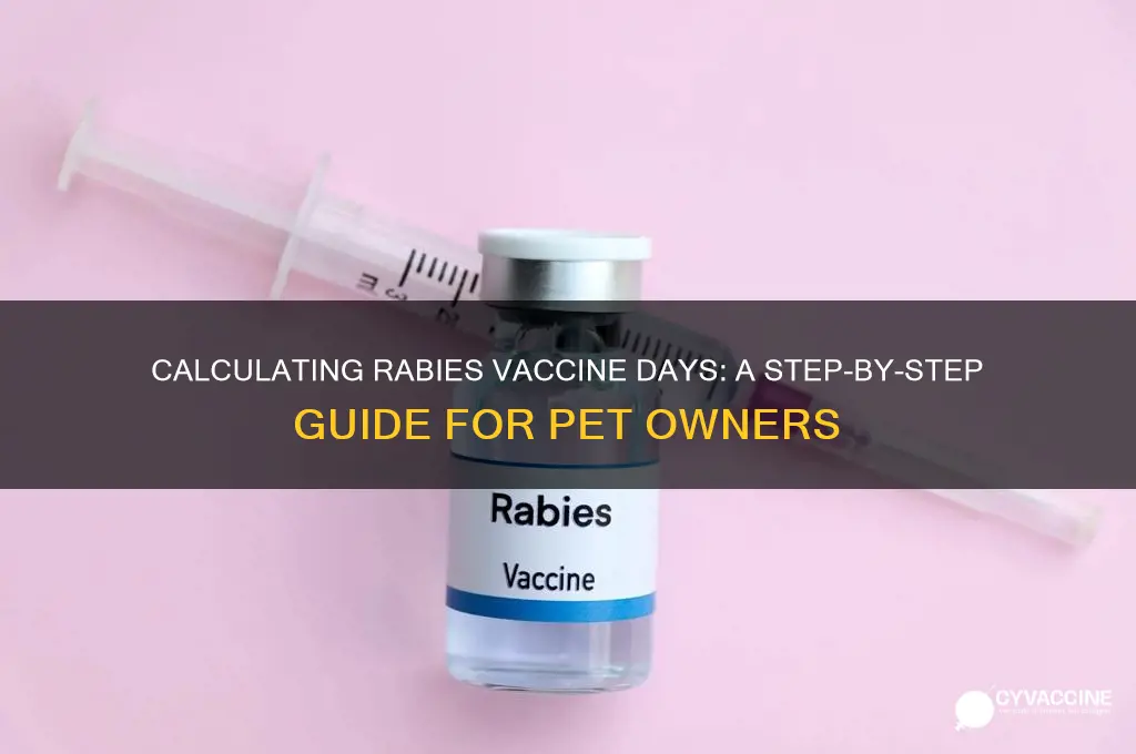 how to calculate rabies vaccine days