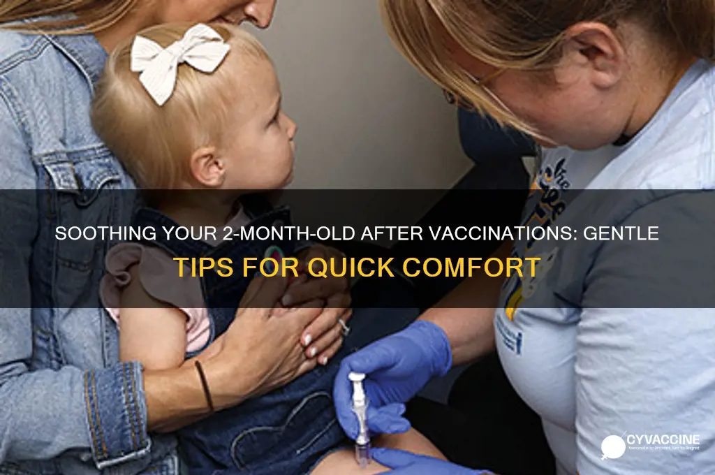how to calm baby after vaccination 2 months