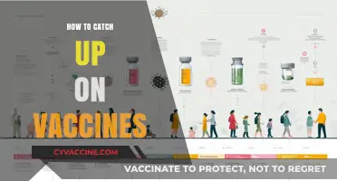 Catching Up on Vaccines: A Step-by-Step Guide to Getting Protected