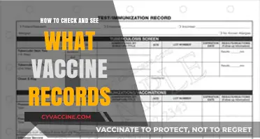 Accessing Your Vaccine Records: A Step-by-Step Guide to Check and Verify
