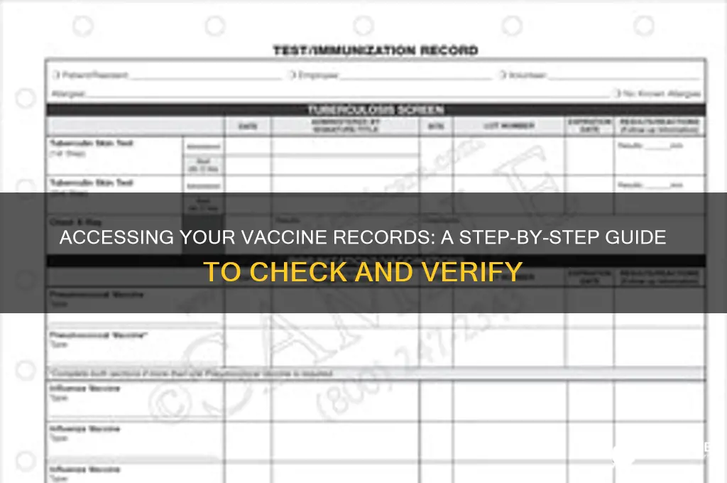 how to check and see what vaccine records