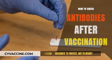 Post-Vaccination Antibody Testing: A Guide to Checking Your Immunity