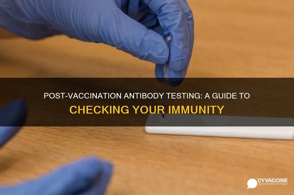 how to check antibodies after vaccination