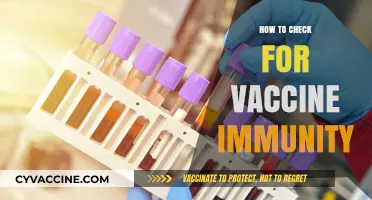 Testing Vaccine Immunity: Simple Steps to Verify Your Protection