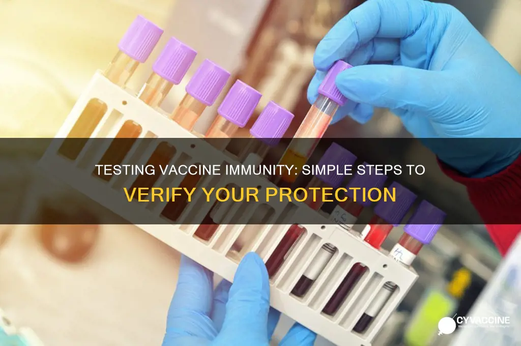 how to check for vaccine immunity
