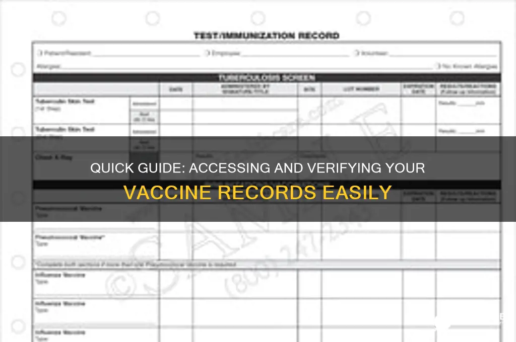how to check for vaccine record