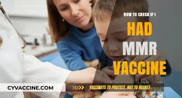 How to Verify Your MMR Vaccination Status: A Quick Guide