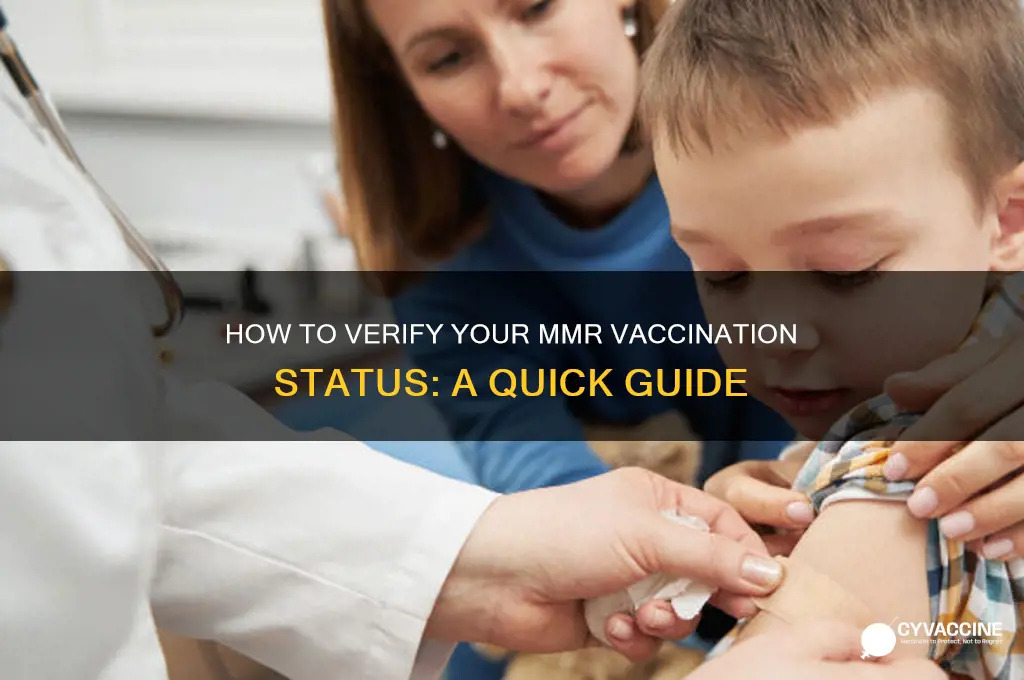 how to check if i had mmr vaccine