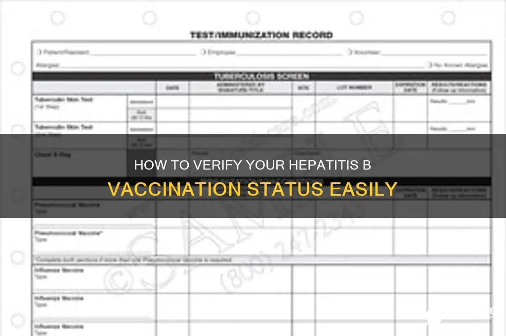 how to check if i have hepatitis b vaccine
