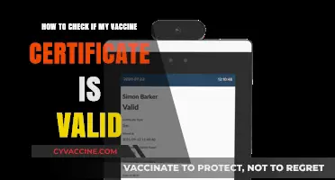 Verify Your Vaccine Certificate: Quick Steps to Check Validity