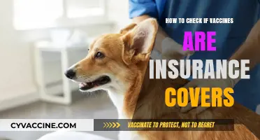 Does Your Insurance Cover Vaccines? A Simple Guide to Check