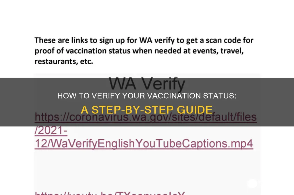 how to check if you have a vaccine