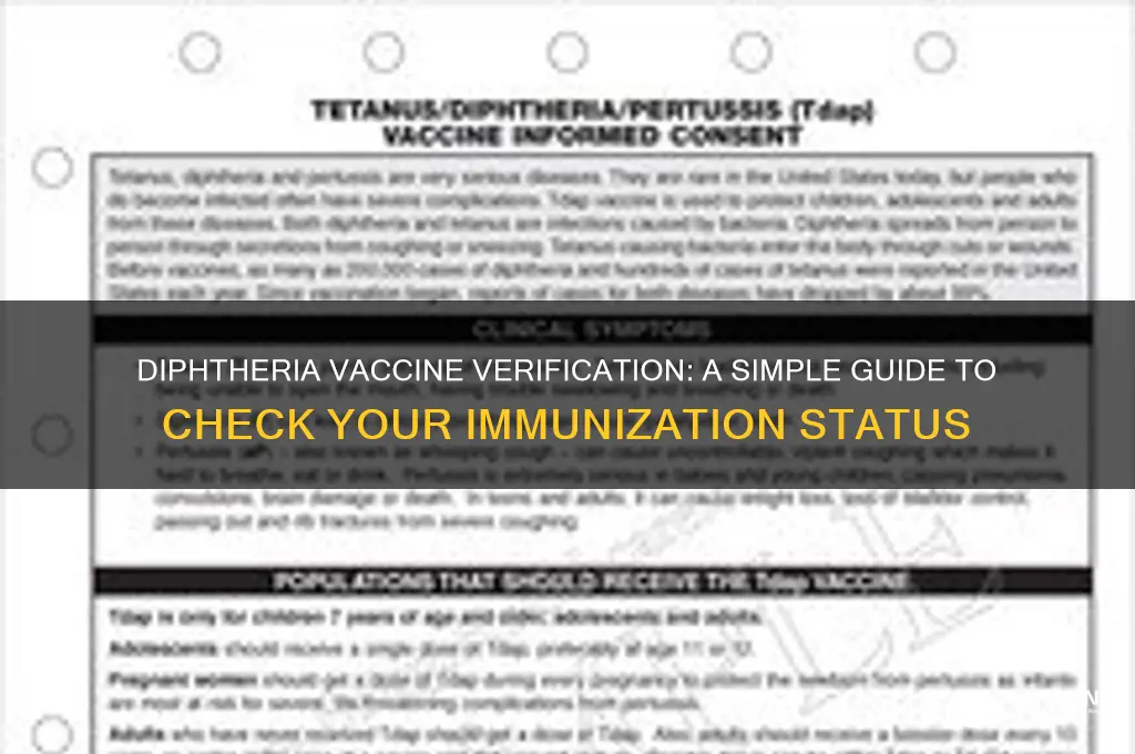 how to check if you have the diphtheria vaccine
