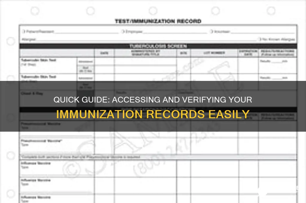 how to check my immunization records