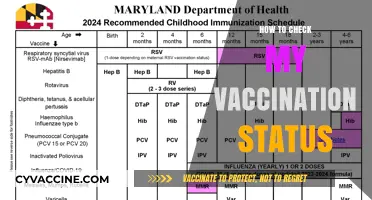 Quick Guide: How to Verify Your Vaccination Status Easily