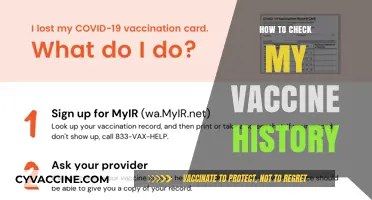 How to Easily Access and Verify Your Vaccine History