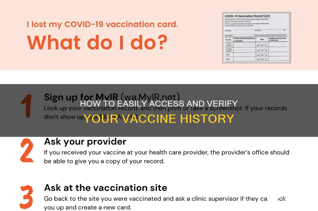 how to check my vaccine history