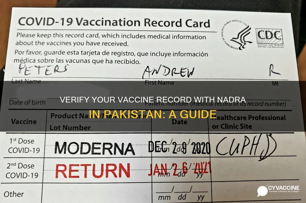 how to check my vaccine record with nadra in pakistan