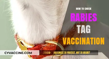 Ensuring Pet Safety: How to Verify Rabies Tag Vaccination Status