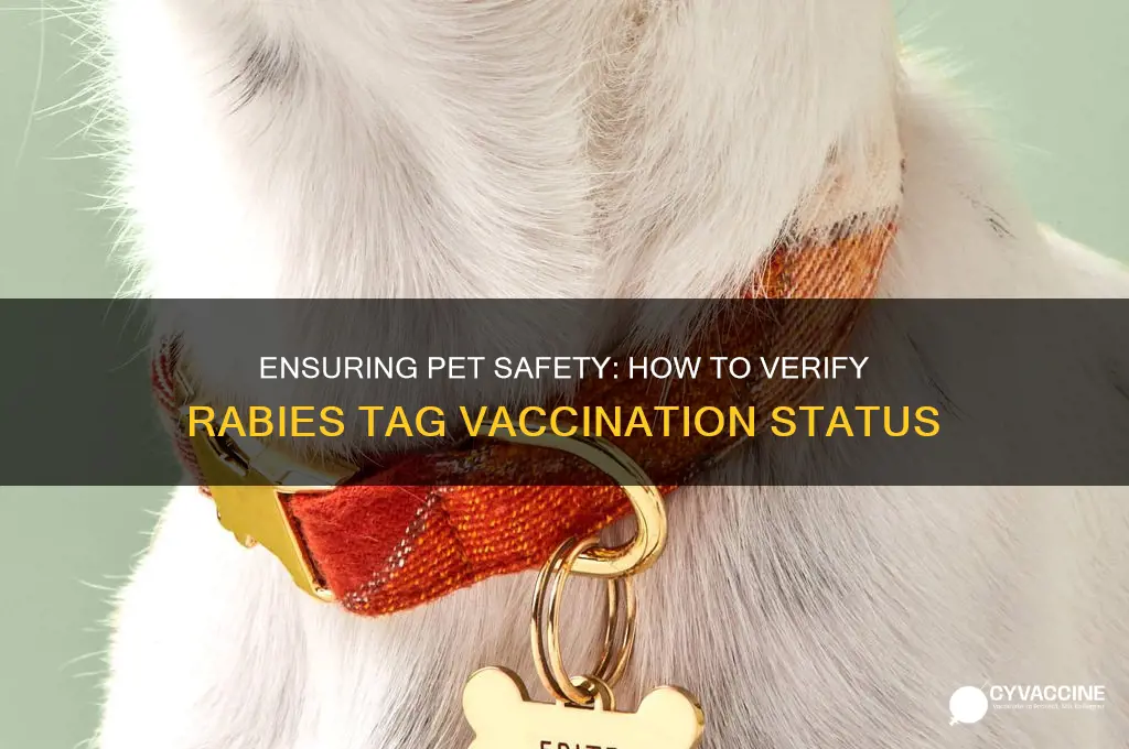 how to check rabies tag vaccination